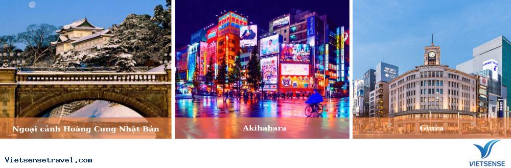 Rời Fuji khởi hành đi Tokyo -  Narita                       - Ảnh 2